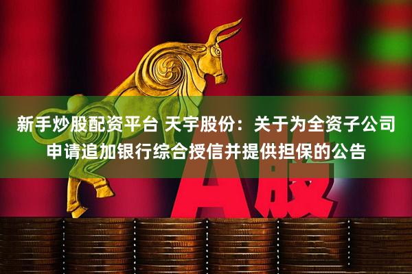 新手炒股配资平台 天宇股份：关于为全资子公司申请追加银行综合授信并提供担保的公告