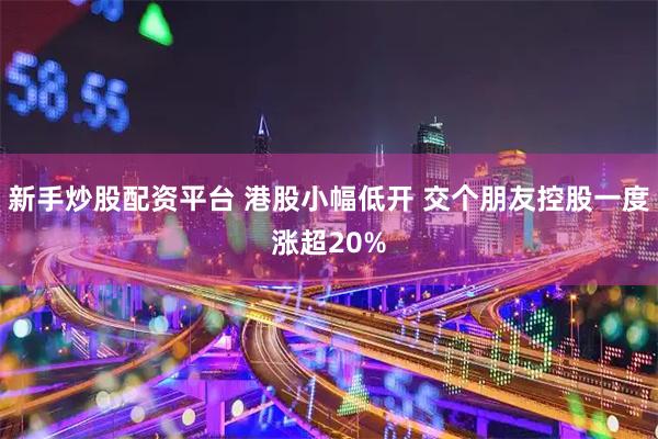 新手炒股配资平台 港股小幅低开 交个朋友控股一度涨超20%