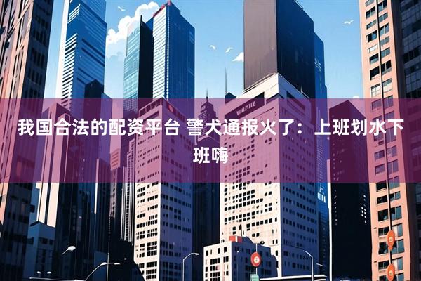 我国合法的配资平台 警犬通报火了：上班划水下班嗨