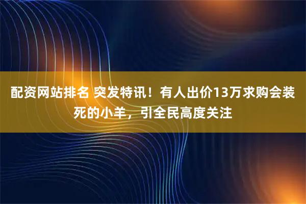 配资网站排名 突发特讯！有人出价13万求购会装死的小羊，引全民高度关注