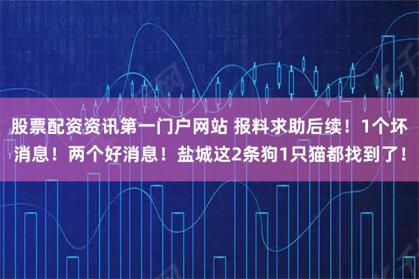 股票配资资讯第一门户网站 报料求助后续！1个坏消息！两个好消息！盐城这2条狗1只猫都找到了！